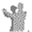 tanzschule-claudius.com