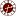 rauscher-time.com