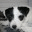 iddefixen.wordpress.com