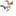 tyfpe.com