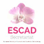 newescad.weebly.com