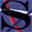 signatureairservices.com