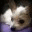 mymisstake.wordpress.com