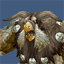 moonkin.io