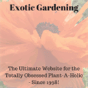 exoticgardening.com