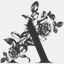audrawrisley.com
