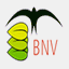 bnv.ch