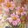 artatout.com