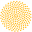 wgli.org