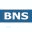 bnsgroup.net