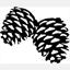 pineospetspaw.com