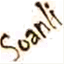soanli.de