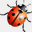 insectworld.info