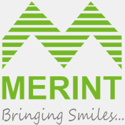 merint.com