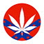 dixieweed.com