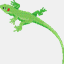 magicaliguana.com