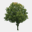 metrotree.ca