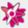 share.acgnx.se