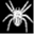 spiderswebs.cu.cc