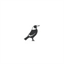 homemagpie.com