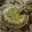 guesswhatideservethis.wordpress.com