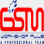 gsmworkshop.com