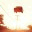 userexperienceideas.wordpress.com