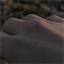 tecurtis.com