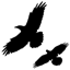 whispersystems.discoursehosting.net