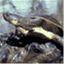 reptilenames.wordpress.com
