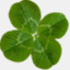 terrymacvey.org