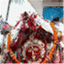 sobhitakumarsahu.wordpress.com