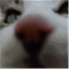 bysam.ro