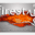 firestar.ie