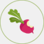 crunchyradish.com