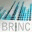 brinc.wordpress.com