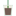 appsandicedlattes.com