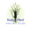 bodymindstudio.com