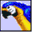 scottietheparrot.com