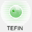 tefin.pl