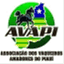 avapi.com.br