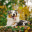 petterrain.com