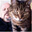 tonywakeford.wordpress.com