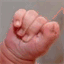 fertilitygemach.org