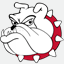 thebullybreeds.com
