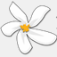 dariindera.com