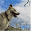 herdingaussie.wordpress.com