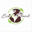 ecomcplanet.com