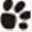 myshoredog.com