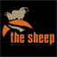 thesheep.ca